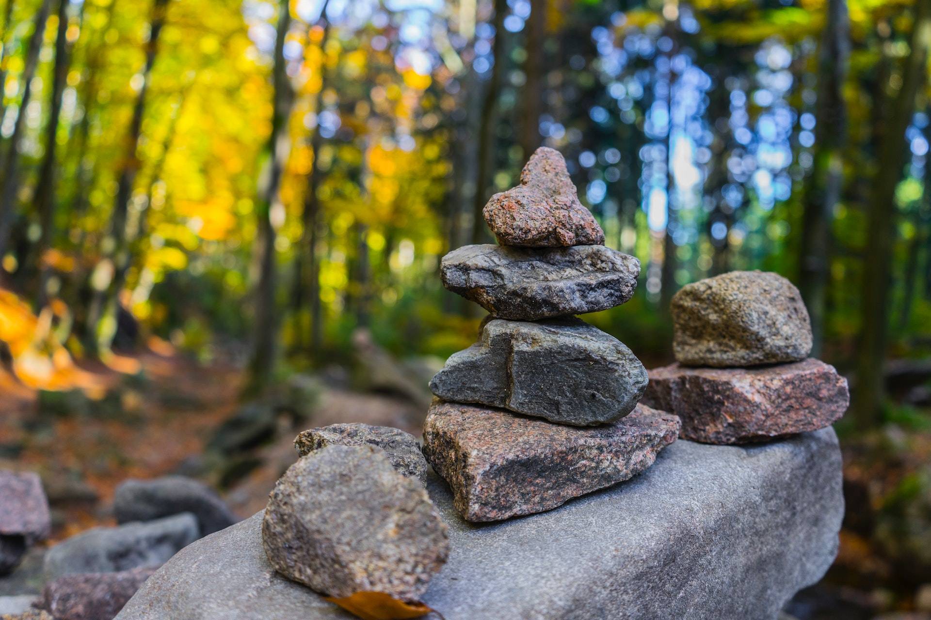 A stack of rocks in a forest, captured and showcased through a WordPress website.