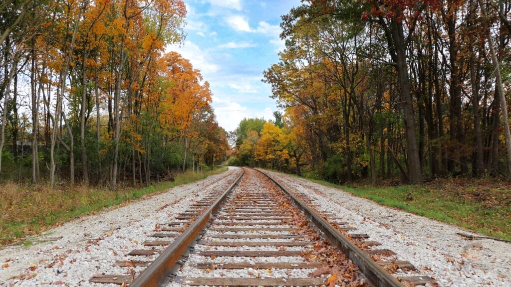 A website showcasing the development of a railroad track, with trees in the background.